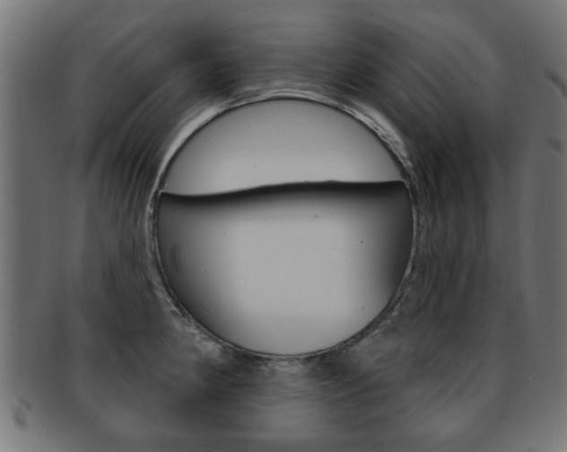X0000091971190200709061125