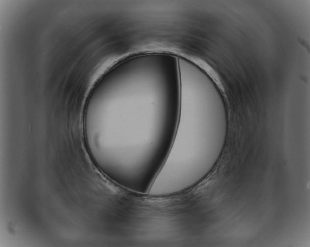 X0000091971191200709061125