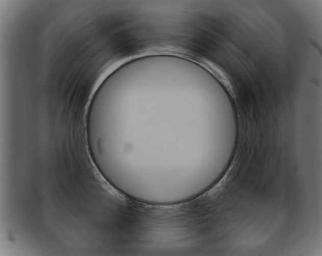 X0000091971192200709061125