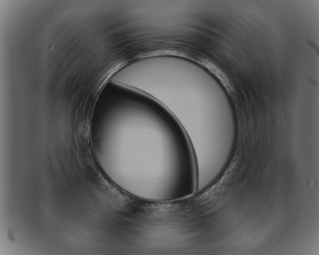 X0000091971193200709061125