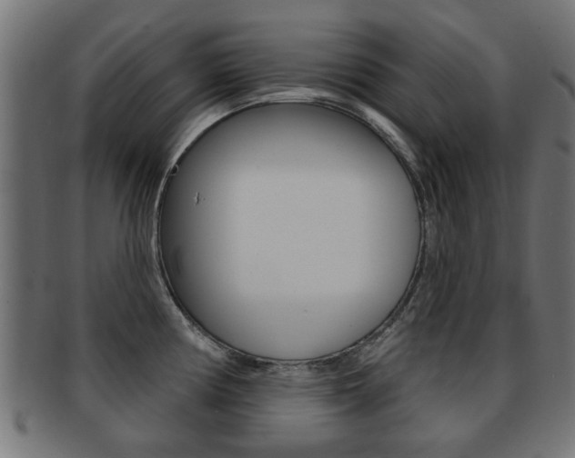X0000091971194200709061125