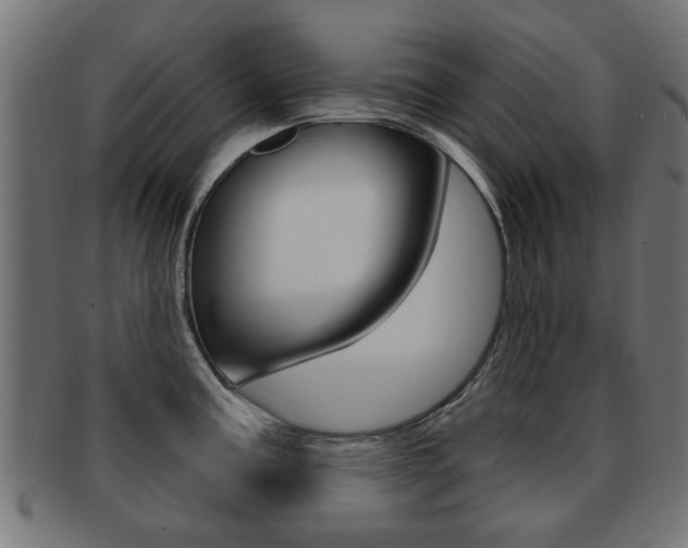 X0000091971195200709061125