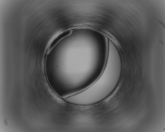 X0000091971196200709061125