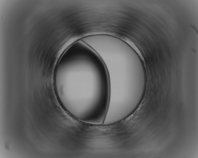 X0000091971197200709061125