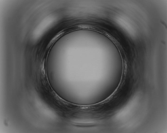 X0000091971198200709061125