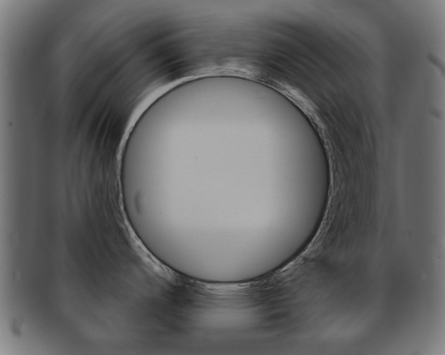 X0000091971200200709061125