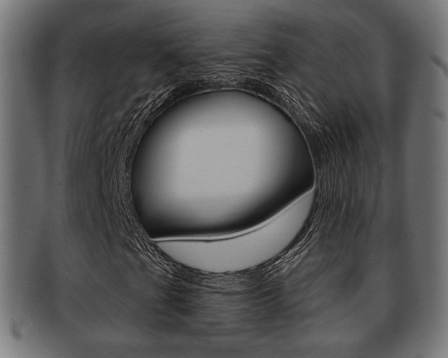 X0000091971201200709061125