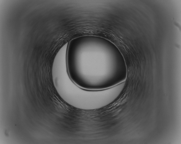 X0000091971202200709061125
