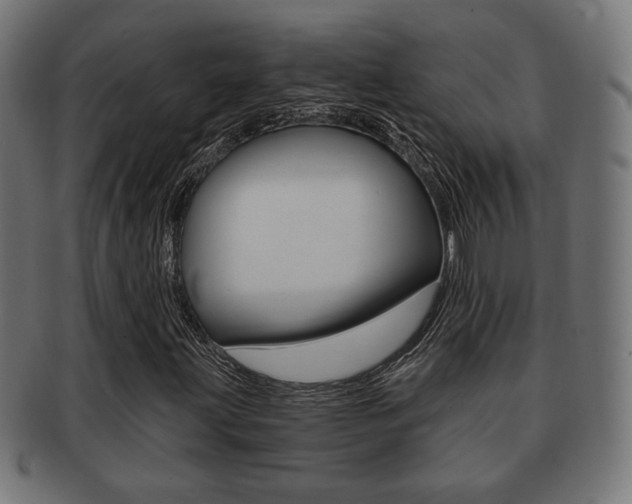 X0000091971203200709061125