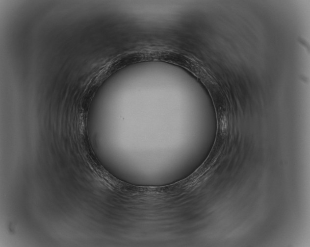 X0000091971204200709061125