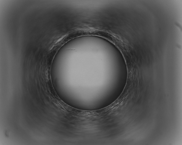 X0000091971205200709061125