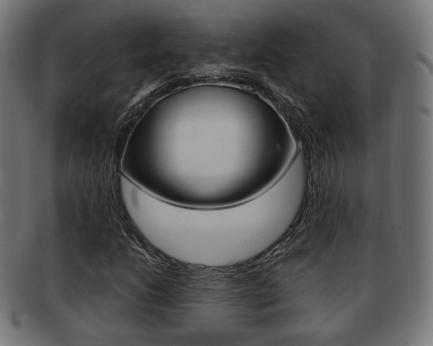 X0000091971206200709061125