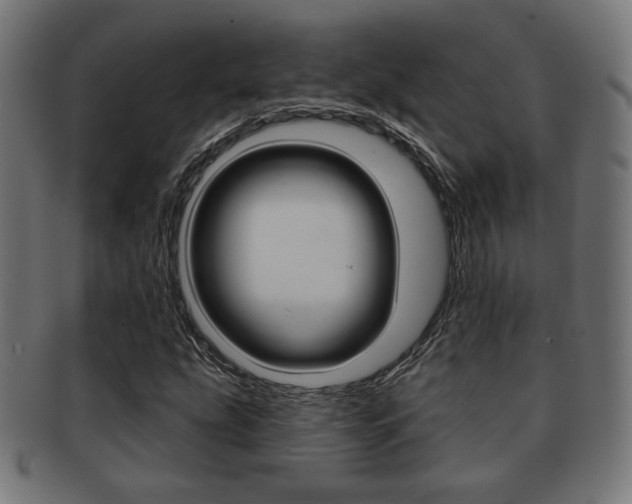 X0000091971207200709061125