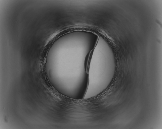 X0000091971208200709061125