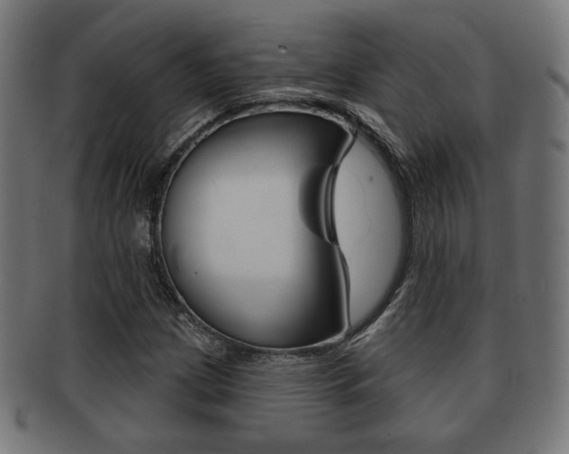 X0000091971209200709061125
