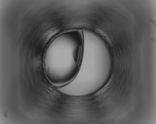 X0000091971210200709061125