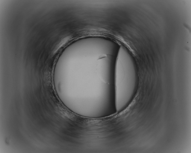 X0000091971211200709061125