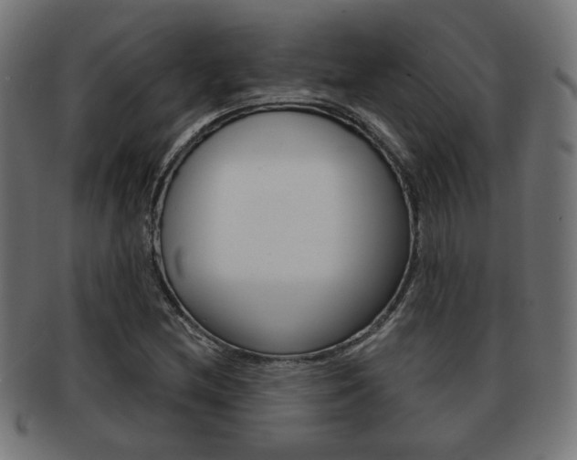 X0000091971212200709061125