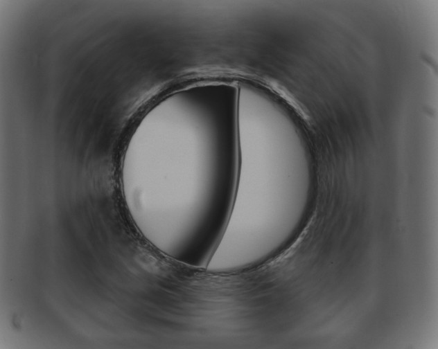 X0000091971213200709061125