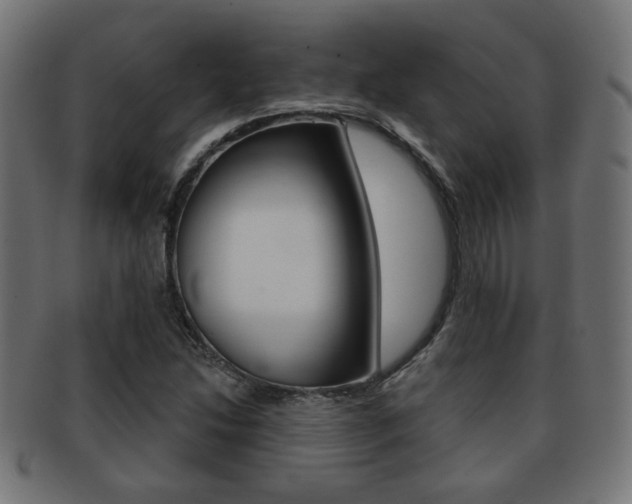 X0000091971214200709061125