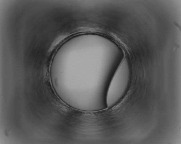 X0000091971215200709061125