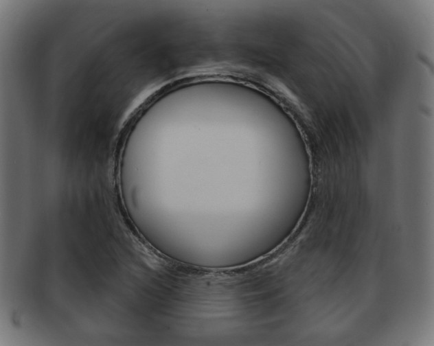 X0000091971216200709061125