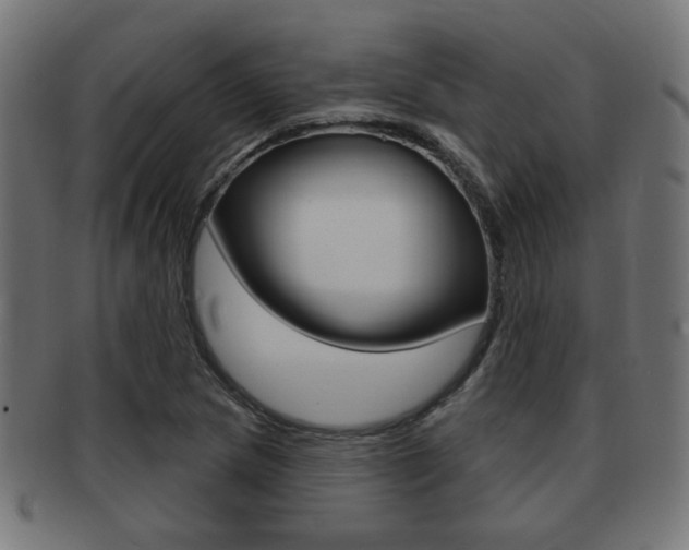 X0000091971217200709061125