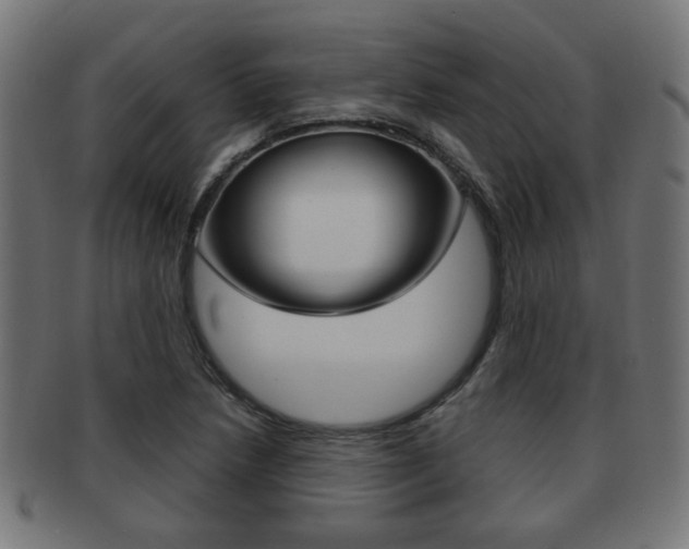 X0000091971218200709061125