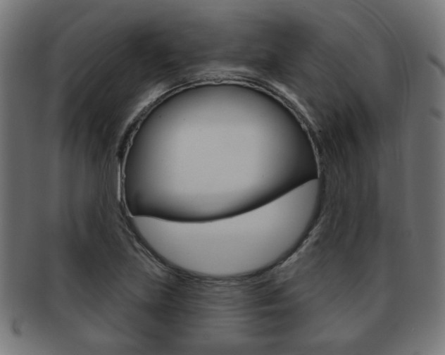 X0000091971219200709061125