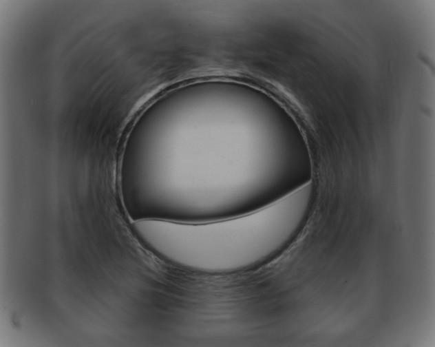 X0000091971220200709061125