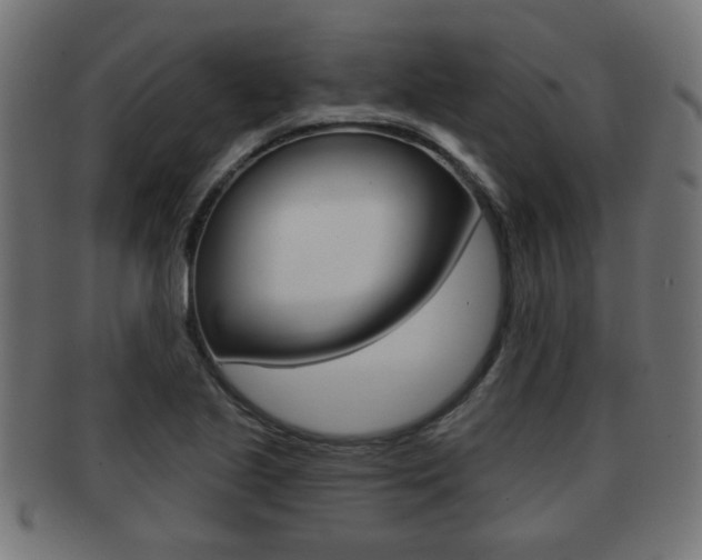 X0000091971221200709061125