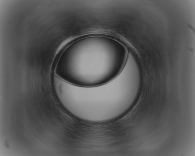 X0000091971222200709061125
