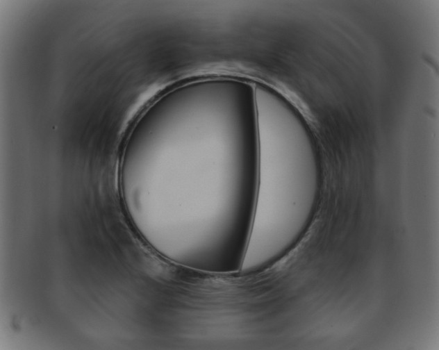 X0000091971224200709061125
