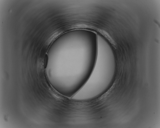 X0000091971225200709061125