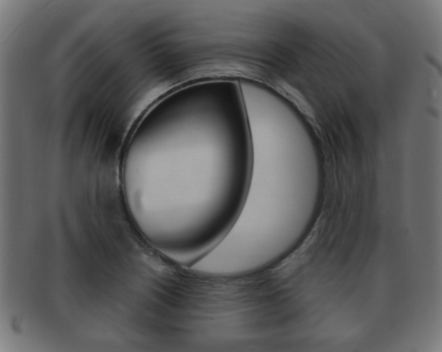 X0000091971226200709061125