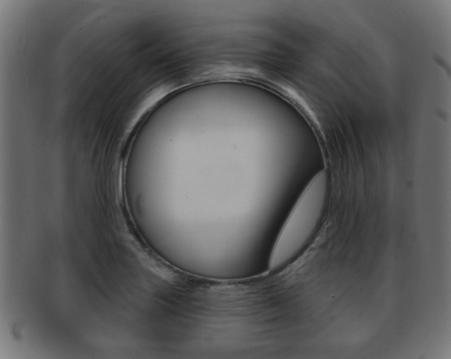X0000091971227200709061125