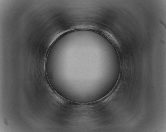 X0000091971228200709061125