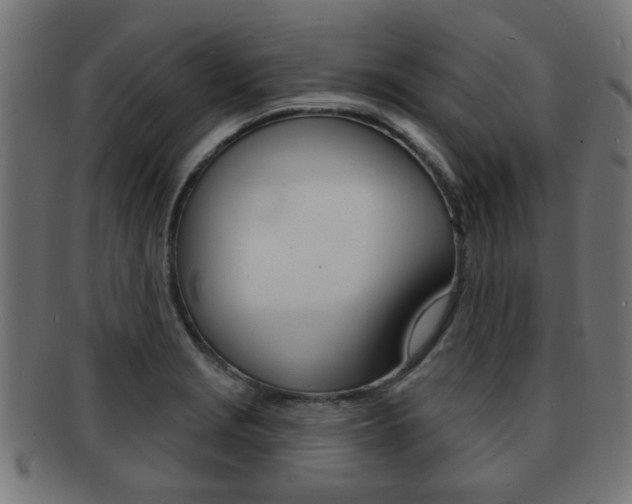 X0000091971229200709061125
