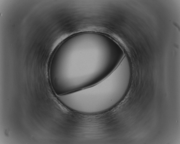 X0000091971230200709061125