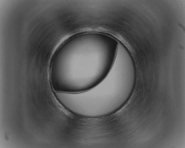 X0000091971232200709061125