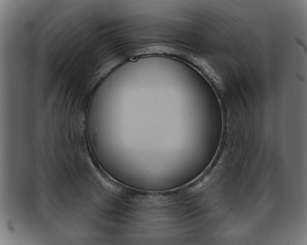 X0000091971233200709061125