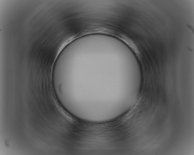 X0000091971234200709061125