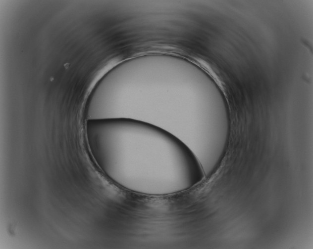 X0000091971235200709061125