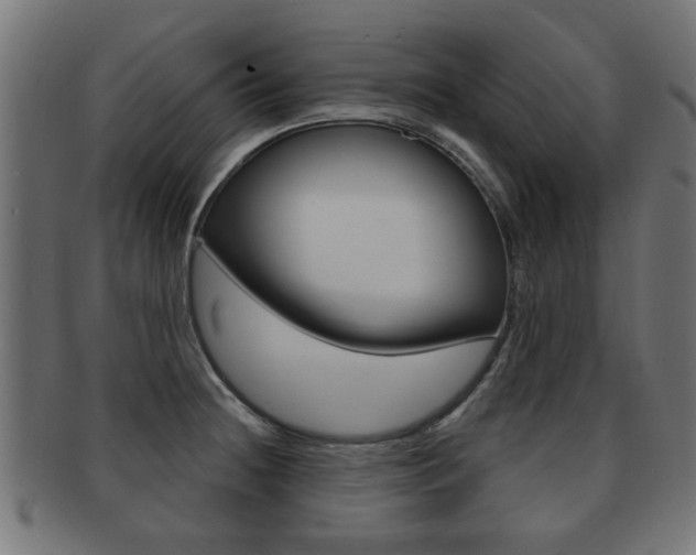 X0000091971236200709061125