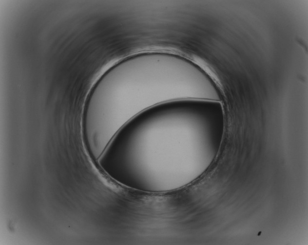 X0000091971237200709061125