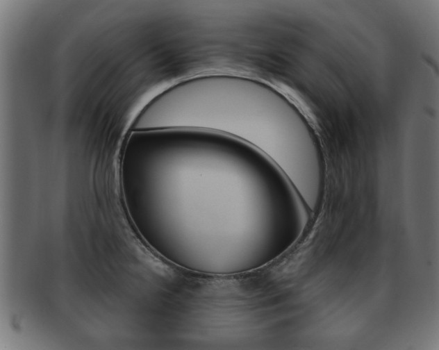 X0000091971238200709061125