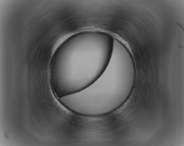 X0000091971239200709061125