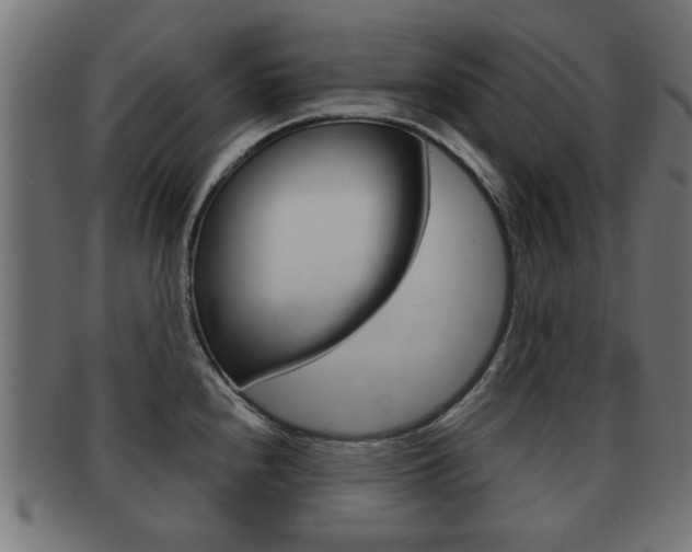 X0000091971240200709061125