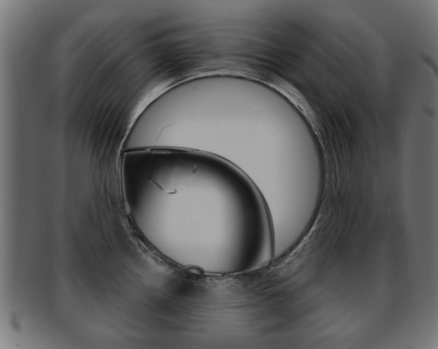 X0000091971242200709061125