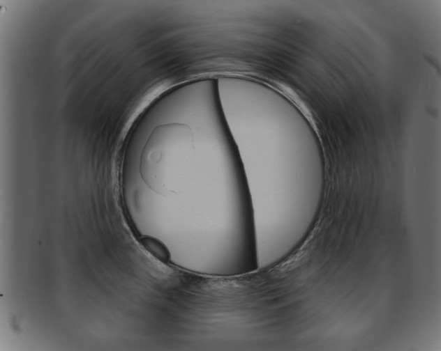X0000091971243200709061125